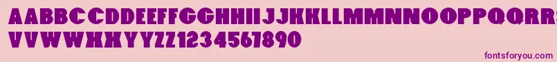 Foxxy Font – Purple Fonts on Pink Background