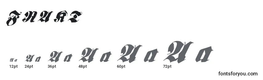 Размеры шрифта FRAKT    (127128)