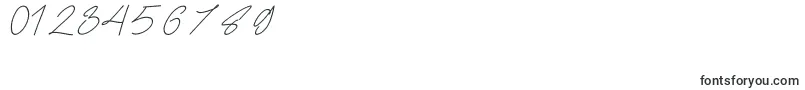 Frayhord Personal Use Font – Fonts for Numbers and Digits