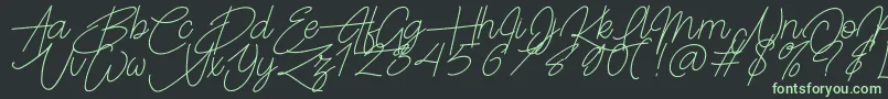 Frayhord Personal Use Font – Green Fonts on Black Background