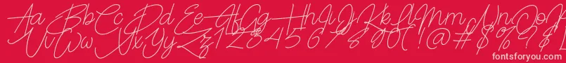 Frayhord Personal Use Font – Pink Fonts on Red Background