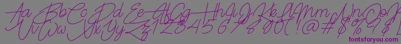 Frayhord Personal Use Font – Purple Fonts on Gray Background