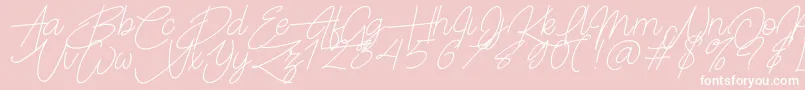 Frayhord Personal Use-Schriftart – Weiße Schriften auf rosa Hintergrund