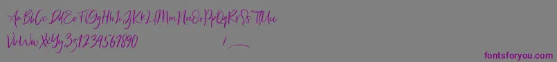 Freaks Font – Purple Fonts on Gray Background