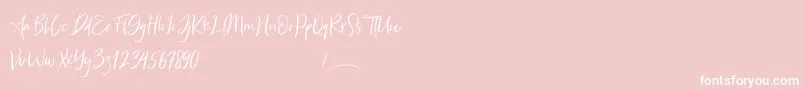 Freaks Font – White Fonts on Pink Background
