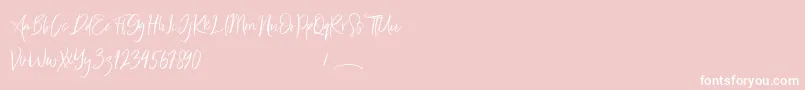 Freaks Font – White Fonts on Pink Background