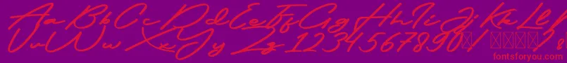 FrederickFree-Schriftart – Rote Schriften auf violettem Hintergrund