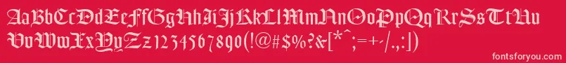 FREDT    Font – Pink Fonts on Red Background