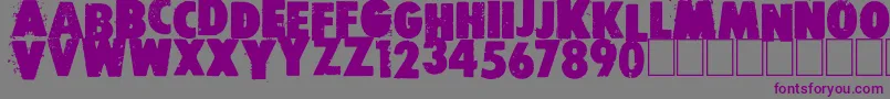 Шрифт Free press – фиолетовые шрифты на сером фоне