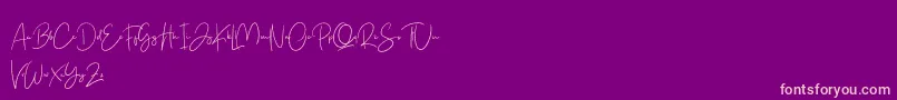 Free Yuminika Script Font – Pink Fonts on Purple Background