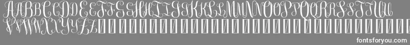 FreeMonogram Beta 0 5 Font – White Fonts on Gray Background