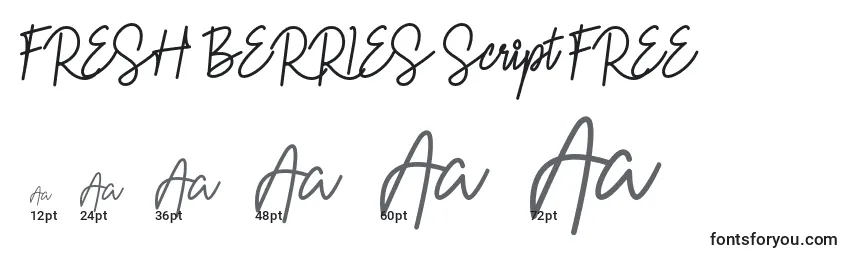 FRESH BERRIES Script FREE Font Sizes