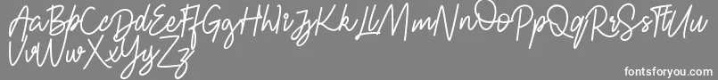 Шрифт FRESH BERRIES Script FREE – белые шрифты на сером фоне