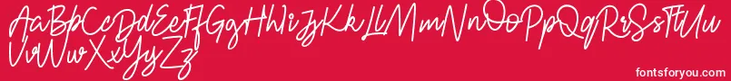 フォントFRESH BERRIES Script FREE – 赤い背景に白い文字