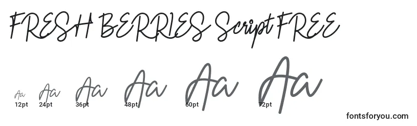 FRESH BERRIES Script FREE (127220) Font Sizes