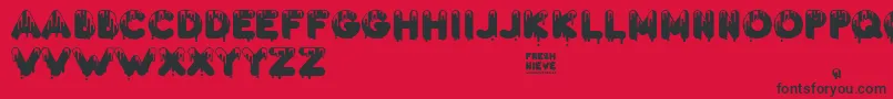 Fresh Nieve Font – Black Fonts on Red Background