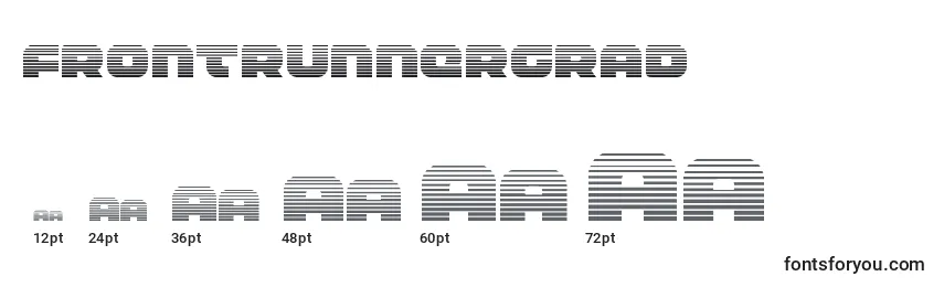 Размеры шрифта Frontrunnergrad
