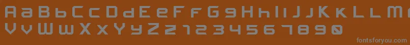 FROSTBITE Wide Bold Font – Gray Fonts on Brown Background