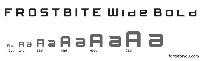 FROSTBITE Wide Bold Font Sizes