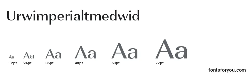 Размеры шрифта Urwimperialtmedwid