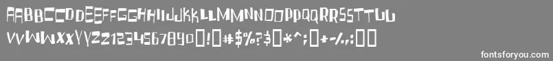 FRUIDC   Font – White Fonts on Gray Background
