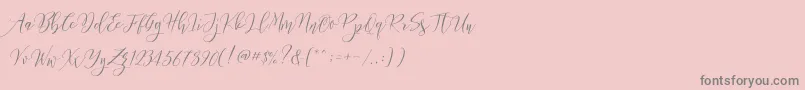 フォントFrutilla Script – ピンクの背景に灰色の文字