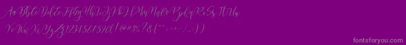 Frutilla Script Font – Gray Fonts on Purple Background