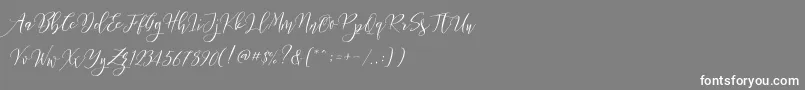 Frutilla Script Font – White Fonts on Gray Background