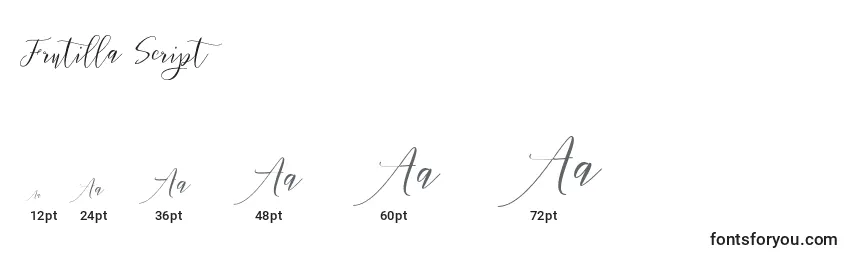 Размеры шрифта Frutilla Script