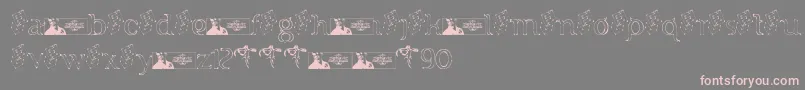FTF Indonesiana Sketch Serif v 1-Schriftart – Rosa Schriften auf grauem Hintergrund