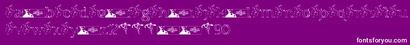 FTF Indonesiana Sketch Serif v 1 Font – White Fonts on Purple Background
