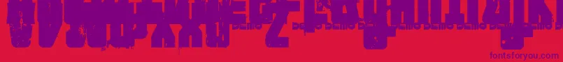 FTNIPD   Font – Purple Fonts on Red Background