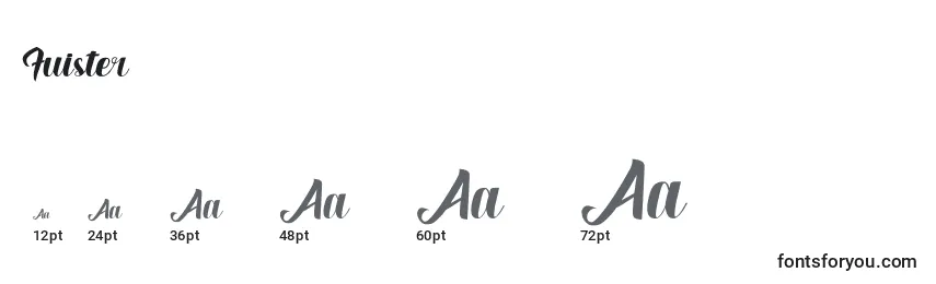 Fuister Font Sizes