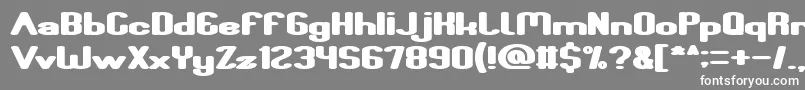 Fun Raiser Bold Font – White Fonts on Gray Background