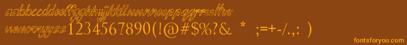 Funga Donga Binge Font – Orange Fonts on Brown Background