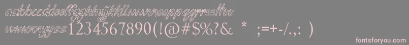 Funga Donga Binge Font – Pink Fonts on Gray Background