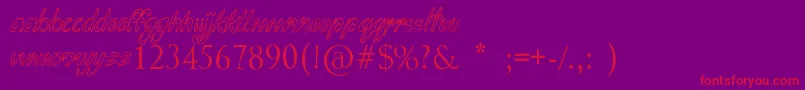 Funga Donga Binge Font – Red Fonts on Purple Background