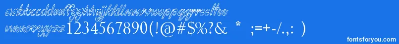 Funga Donga Binge Font – White Fonts on Blue Background
