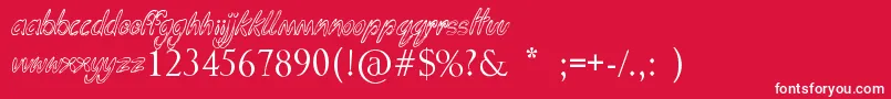Funga Donga Binge Font – White Fonts on Red Background