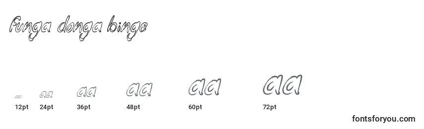 Funga Donga Binge Font Sizes