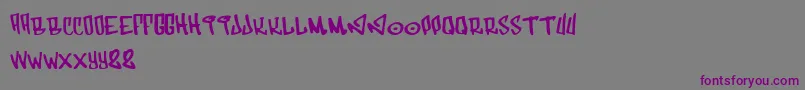 Funk Font – Purple Fonts on Gray Background