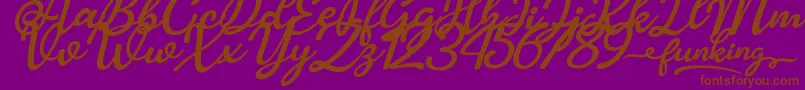 Funking Font – Brown Fonts on Purple Background