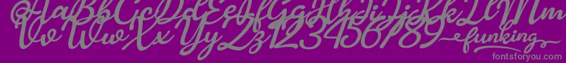 Funking Font – Gray Fonts on Purple Background