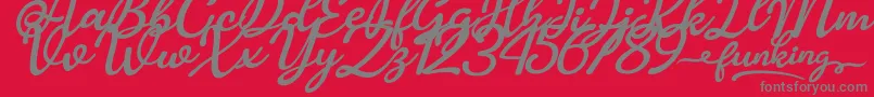 Funking-Schriftart – Graue Schriften auf rotem Hintergrund