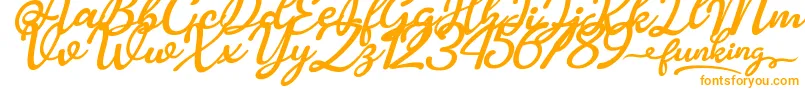 Funking Font – Orange Fonts on White Background