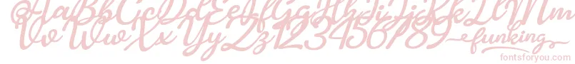 Funking Font – Pink Fonts on White Background