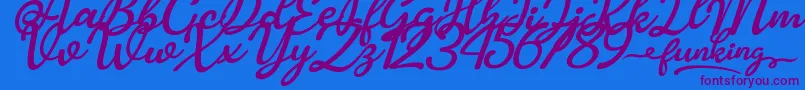 Funking Font – Purple Fonts on Blue Background