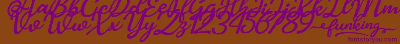 Funking Font – Purple Fonts on Brown Background