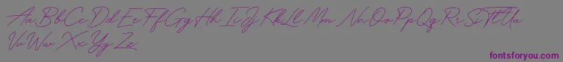 Funky Signature-Schriftart – Violette Schriften auf grauem Hintergrund