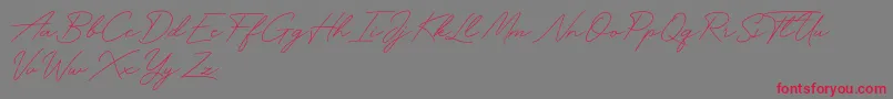 Weitere Informationen zur Funky Signature-Schriftart Funky Signature-Schriftart – Rote Schriften auf grauem Hintergrund